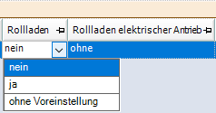 Dachfenster Rollladen